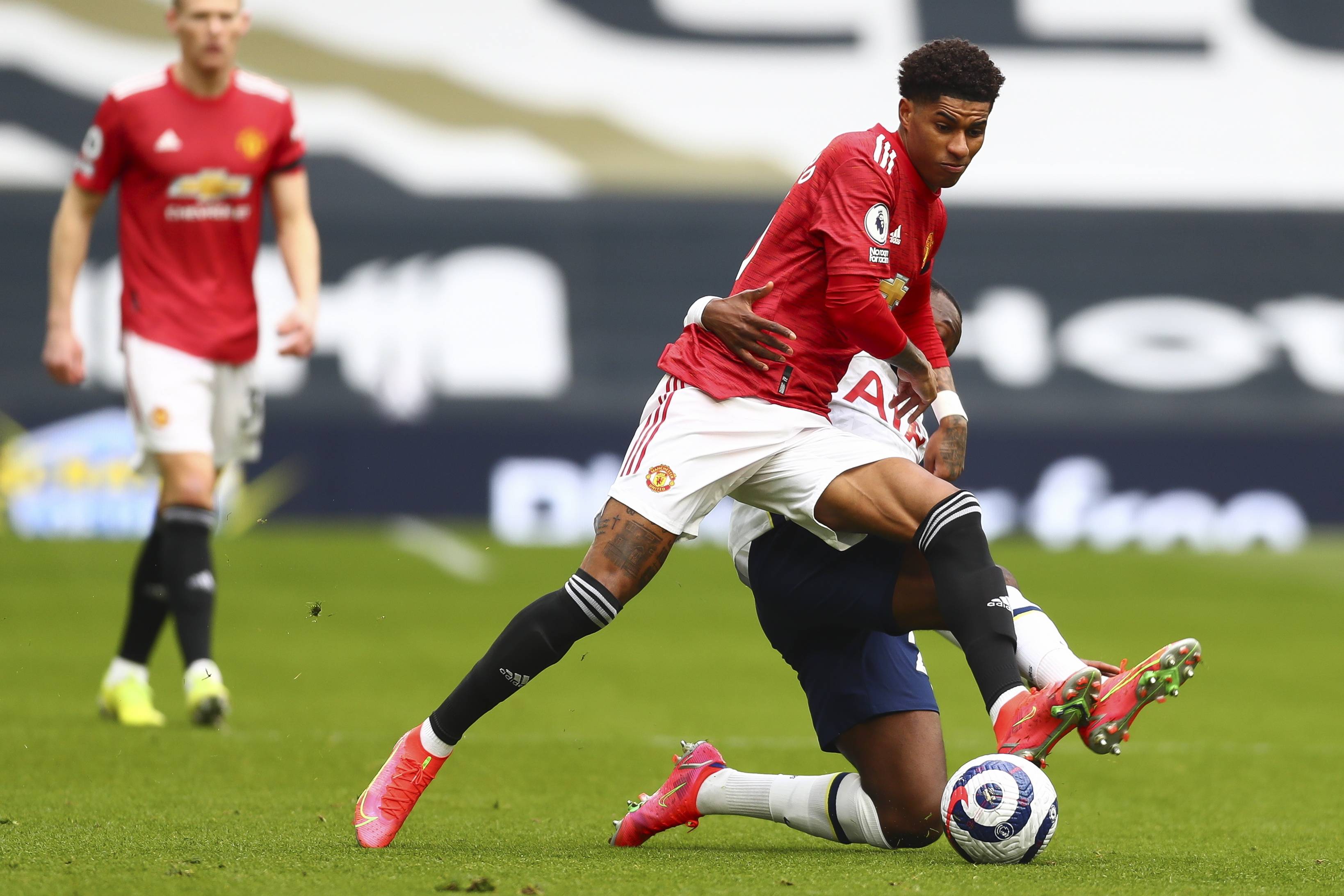 当地文化的 当地文化的